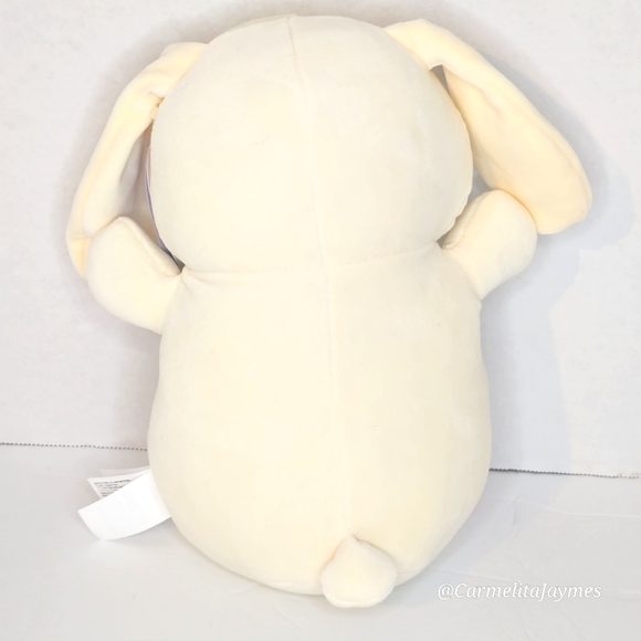 🐣 ROBYNE 🐰 Rainbow Belly Hugmee Easter 2024 Original Squishmallow ☆》NWT《☆ - Picture 2 of 8